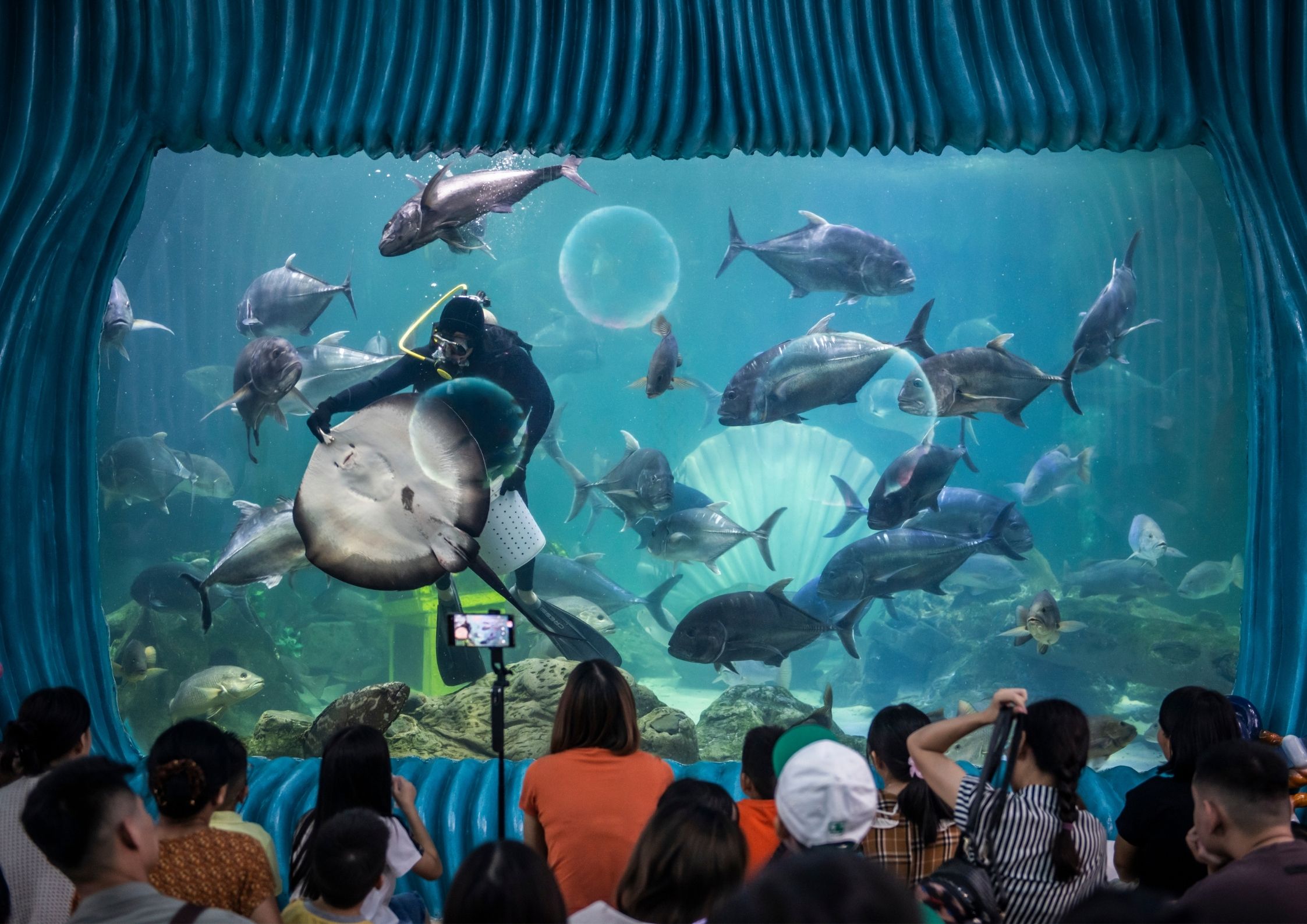 Giá vé thủy cung Time City 2026
